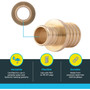 SharkBite UC060LFA  3/4" x 1" Barbed Brass Reducing Coupler for PEX Image 2