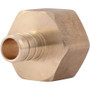 SharkBite UC068LFA  1/2" Barb x 3/4" FNPT Brass Female Connector for PEX Image 0