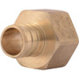 SharkBite UC088LFA  3/4" Barb x 3/4" FNPT Brass Female Connector for PEX Image 0