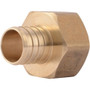 SharkBite UC094LFA  1" Barb x 1" FNPT Brass Female Connector for PEX Image 0