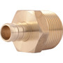 SharkBite UC116LFA   1/2" Barb x 3/4" MNPT Brass Male Connector for PEX Image 0