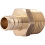 SharkBite UC120LFA  1/2" Barb x 1/2" MNPT Brass Male Connector for PEX Image 0