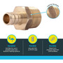 SharkBite UC120LFA  1/2" Barb x 1/2" MNPT Brass Male Connector for PEX Image 2