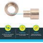 SharkBite UC600LFA  1/2" Barb x 1/2" Female Brass Sweat Adapter for PEX to Copper Pipe Image 3
