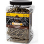 Screw Products 30117-29  AXIS #9 x 3" (T20-Drive) ZYTEC XT General Exterior Structural Wood Screws -  5-lb Jar (approx. 388) Image 1