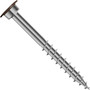 Screw Products 30971  FASCIA #9 x 1-7/8" (T20-Drive) 316 Stainless Steel Composite Deck Facia Screws with Rocky Harbor Colored Heads - 100 per Jar Image 0