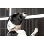 Phifer 3004127  PetScreen 36" x 100' Pet Resistant Black Screen Fabric (902800) Image 1