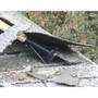 AJC Tools 117-SGS  Shing-Go Roofing Shovel with D-Grip Wood Handle Image 1