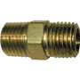 Amflo 366  3/8" x 3/8" MNPT Brass Pipe Coupling Image 0