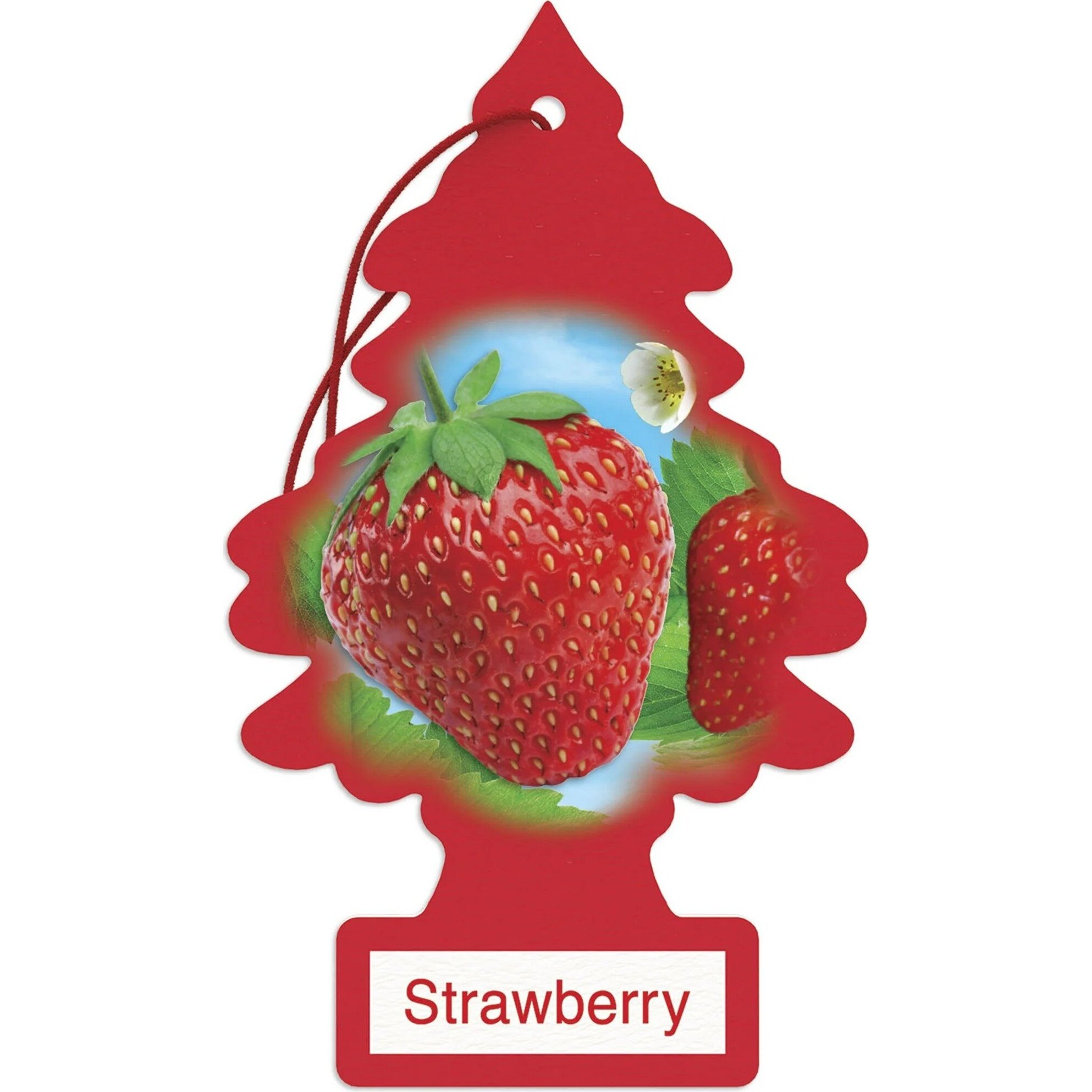 Little Trees U1P10312  Car Air Freshener Strawberry Scent - Single Tree per Package