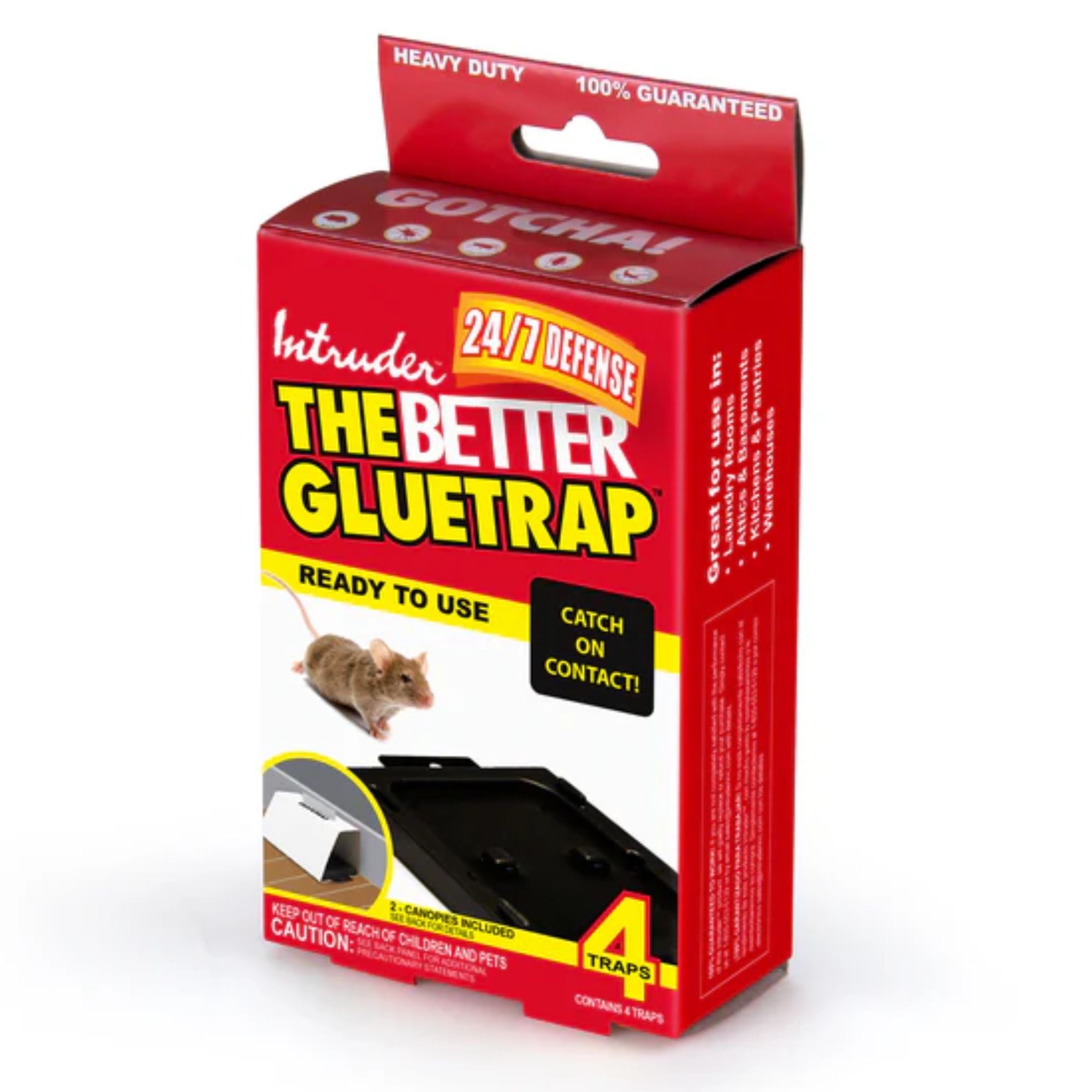 Intruder 17500  The Better Glue Trap for Regular Temperature with Canopy Small 4 Pack