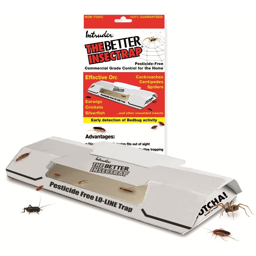Intruder 21000  The Better Insectrap - 4 Traps per Package