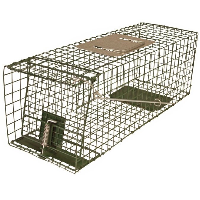Intruder 24205  Relocator Live Trap - Medium Assembled Easy Set & Release with Bayonet Latch 24" x 8" x 8"
