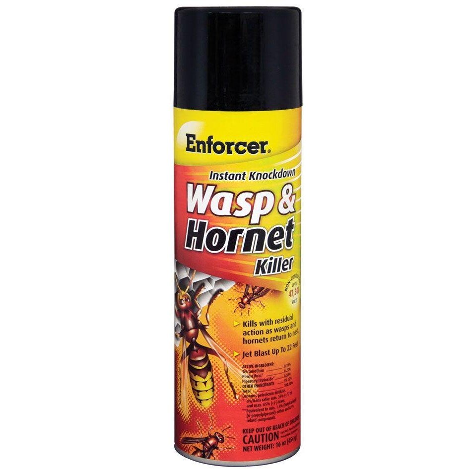 Enforcer EWHIK16  Instant Knockdown Wasp & Hornet Killer Spray - 16-oz Ready-to-Use Aerosol