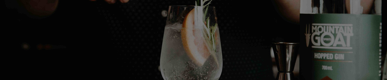 Gin