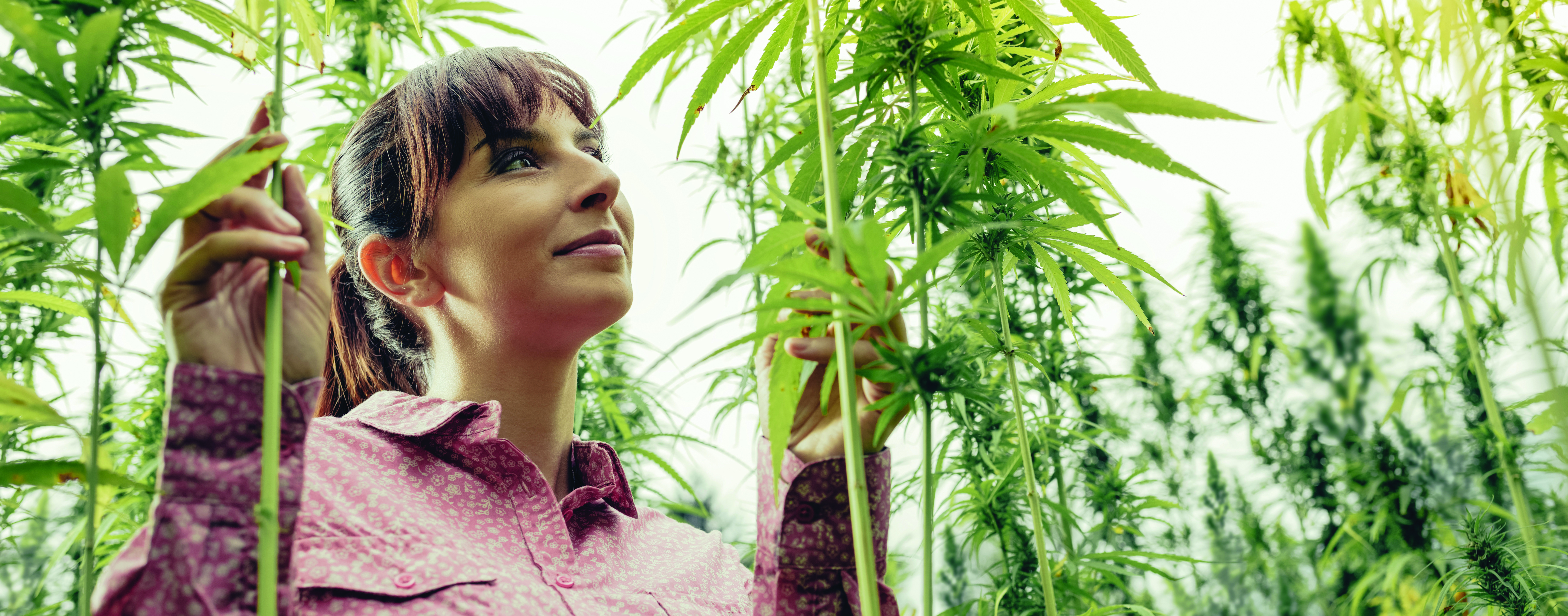 smilingwomaninahempgardencut.jpg