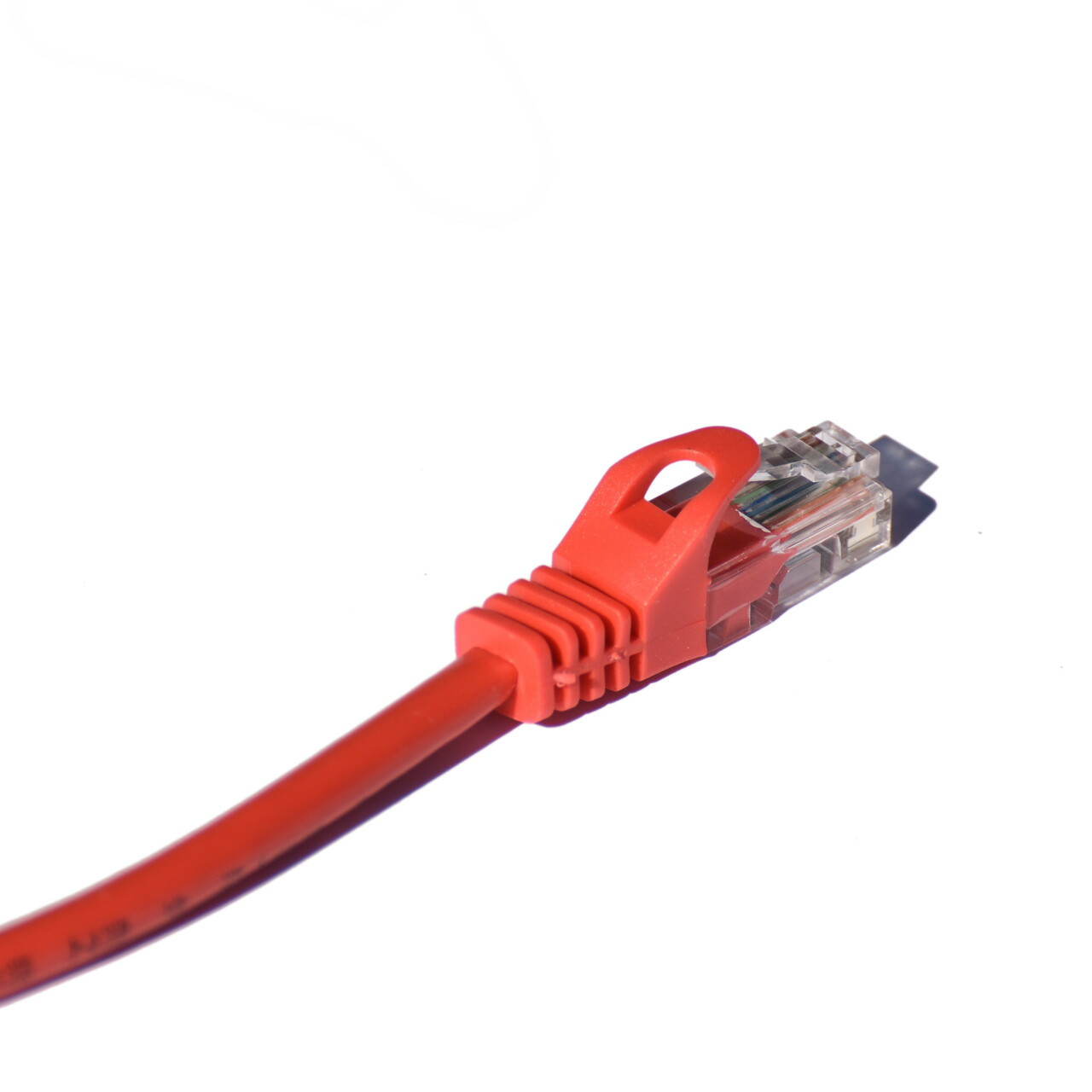 CONNECT EXC 853943 Cavo Di Rete Cat5e F/UTP AWG26 - 1 Metro, Rosso, Connettori Dorati, Garanzia 15 Anni