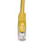 Cat6 Cables Yellow 50 Ft