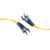 10 Meter Single Mode FC Connector