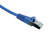 Cat 7 Cable - 2 Foot Patch Blue