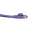 purple cat 6 internet