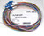 12 Fiber, color coded 900um LC/UPC 9/125 Singlemode Fiber Pigtail