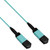 CLOSEOUT - MPO OM4 12 Fiber Trunk Type A 1M