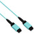 CLOSEOUT – 12 Fiber, OM3, MPO Type A female Trunk - 15M