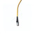 2 Meter MTRJ LC