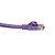 Purple Cat5 Internet Cable