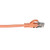 Orange Cat5 Cables