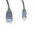 10 Foot USB 2.0 Cable, A Male To Mini B, 5 Pin Male