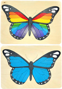 Monarch Butterfly Monarch Butterfly