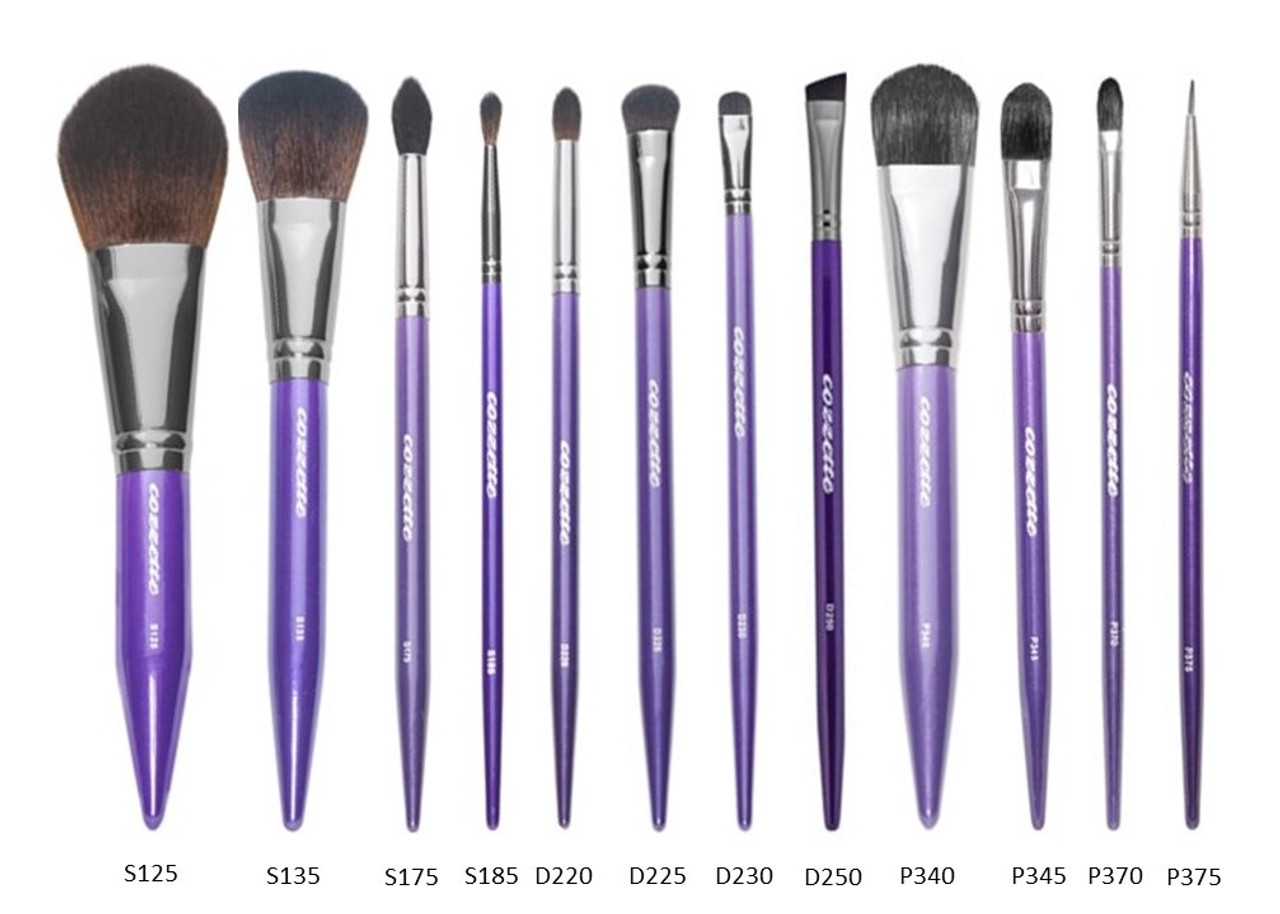 12 Piece Essential Pro Makeup Brush Set Beaudazzled 12 Piece Essential Pro Makeup Brush Set Beaudazzled