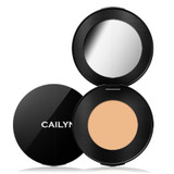 HD Coverage Concealer: Linen