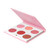 Mini Mix Blush Palette CHARM YOUR CHEEKS Mini Mix Blush Palette CHARM YOUR CHEEKS