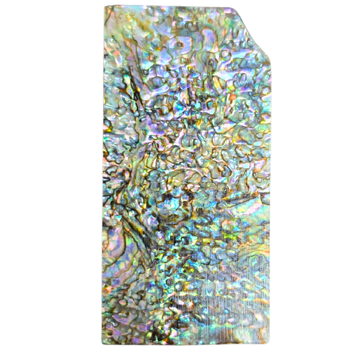 Red Heart Abalone Slab 1 7/8 x 7/8 x .070 #9