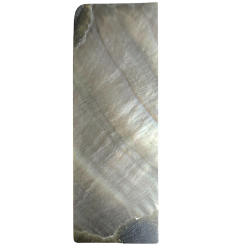 Blacklip Mother of Pearl Slab 2 5/16 x 13/16 x .070 #55