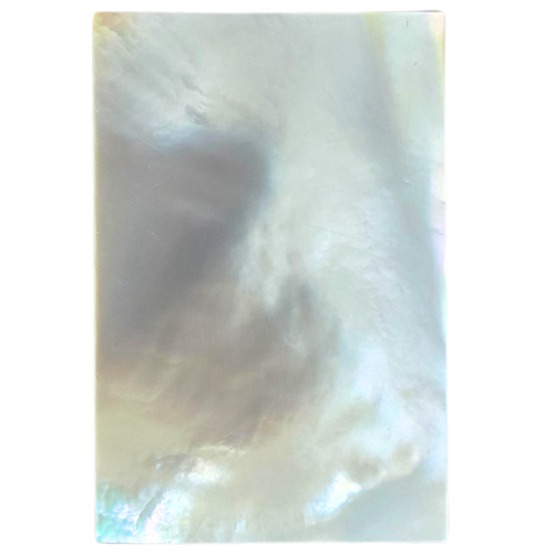 White Mother of Pearl Piece 1 1/2 x 1 x .110 Grade A+ #50