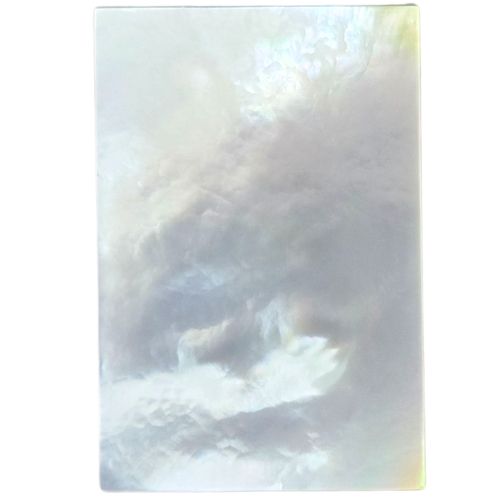 White Mother of Pearl Piece 1 1/2 x 1 x .110 Grade A+ #51