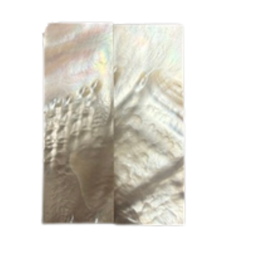 White Mother of Pearl Pair 3 1/4 x 1 1/8 x .120 B Grade #95