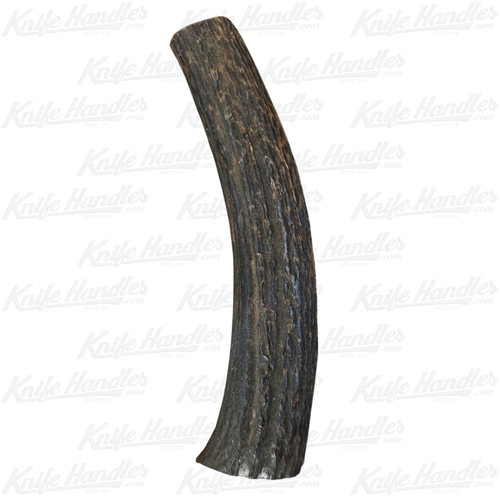 5 7/8" Sambar Stag Tapered Carver #8