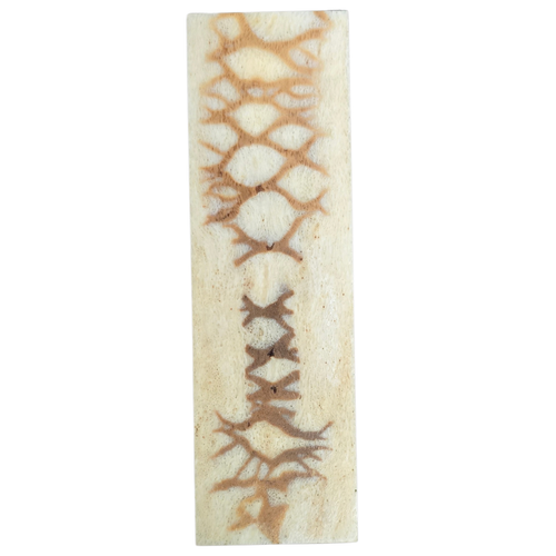 Tiger Coral Slab 4 1/8 x 1 1/4 x .175 #4
