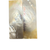 White Mother of Pearl Pair 3 1/4 x 1 1/8 x .130 A+ Grade #37