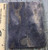 Real Blue Coral Pairs 3 1/8 x 1 1/8 x .200