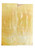 Goldlip Pair 2 11/16 x 1 x .075 #59