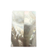 White Mother of Pearl Pair 2 1/2 x 7/8 x .105 A+ Grade #5