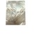 White Mother of Pearl Pair 3 1/4 x 1 1/4 x .145 A Grade #11