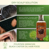 Fountain Jamaican Black Castor Oil Hair Food 8 Oz infographic for dry itchy scalp conditions