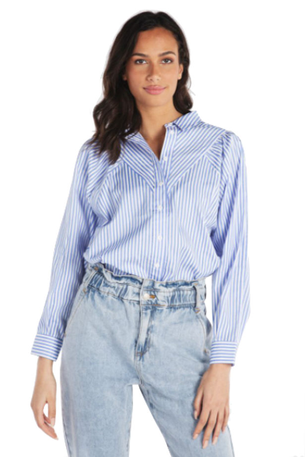 Blue and White Stripe Button Down 